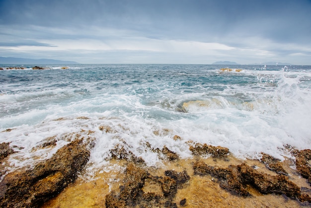 Paysage d'été en bord de mer