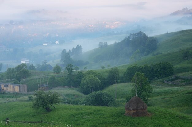 Paysage d'été avec une botte de foin