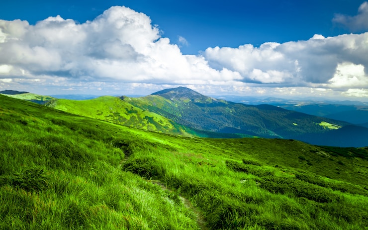 Photo paysage d'été des carpates.