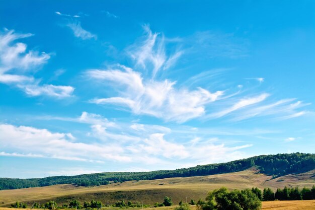 Paysage d'été avec champ, arbres sur une colline, ciel bleu et nuages blancs