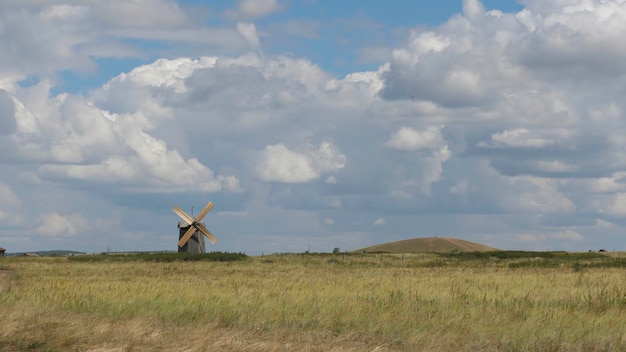 Paysage d'été avec un champ d'herbe et un ciel bleu