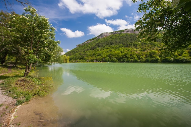 Paysage d'été coloré en Crimée