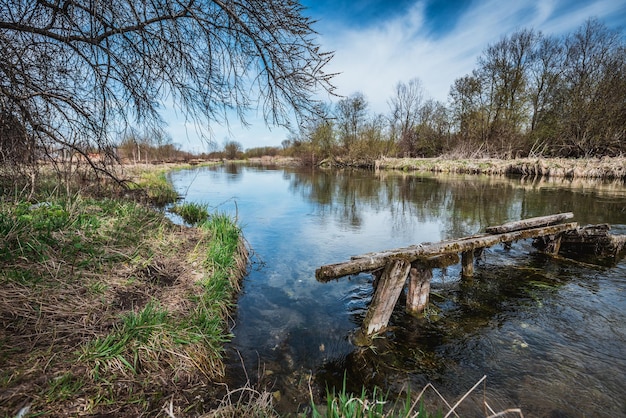 Paysage d'été de la côte de la rivière