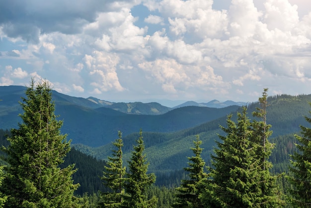 Photo paysage d'été dans les carpates. vue depuis la montagne