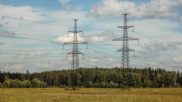 Paysage d&#39;été dans le champ. Ciel et champ. Beau paysage d&#39;été