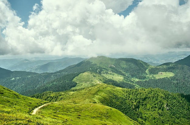 Paysage d'été dans les montagnes des Carpates avec ciel nuageux. Carpates, Ukraine, Europe.