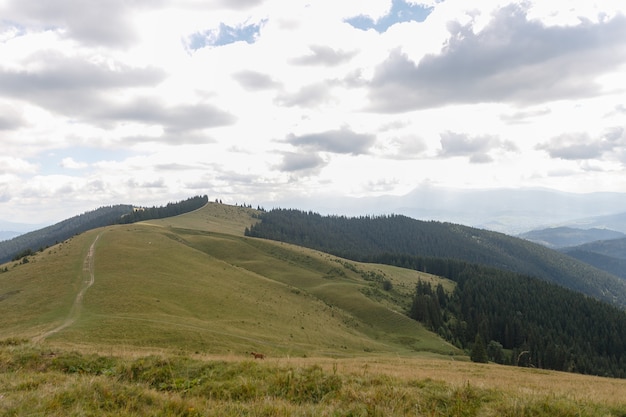 Paysage d'été dans les montagnes et le ciel bleu foncé avec des nuages. Paysage des montagnes Bucegi, partie des Carpates du Sud en Roumanie en un jour très brumeux