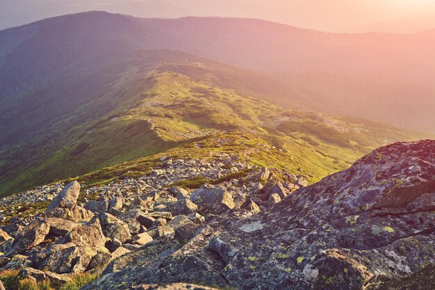 Paysage d'été dans les montagnes et le ciel bleu foncé