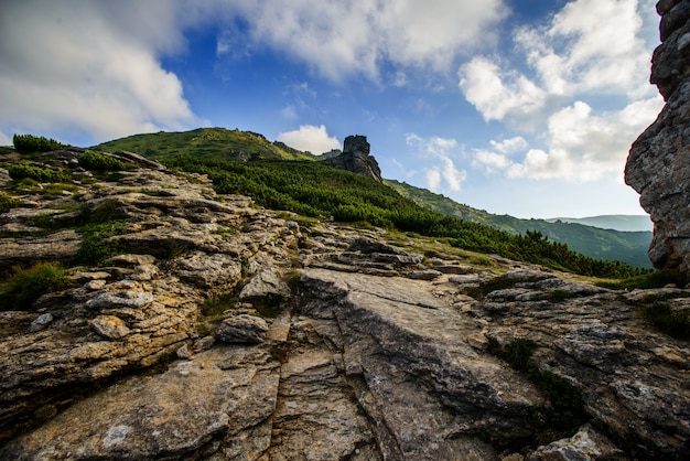 Paysage d'été dans les montagnes