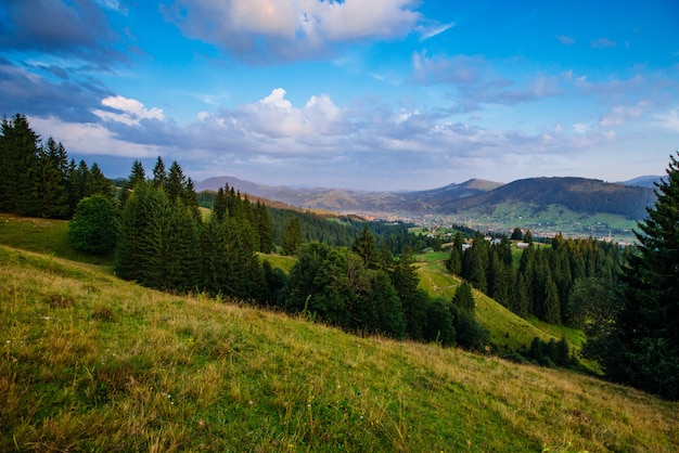 Paysage d'été dans les montagnes