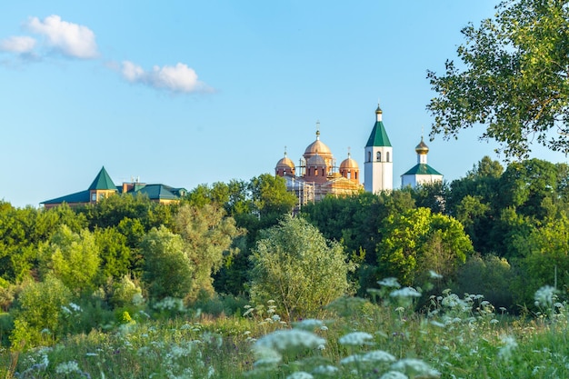 Paysage d'été du champ fleuri et de l'église orthodoxe de Klin Russie