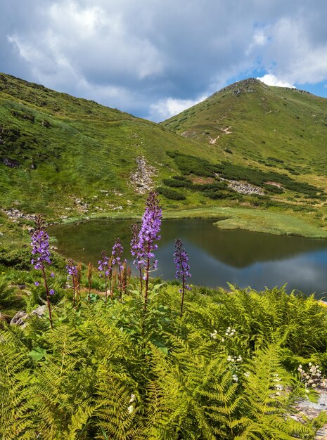 Paysage d'été du lac Nesamovyte crête de Chornohora montagnes des Carpates Ukraine