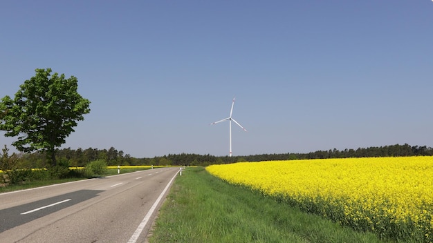 Un paysage d'été sur fond de moulins à vent