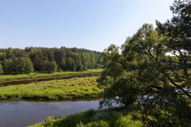 Un paysage d'été avec de l'herbe verte et des arbres à feuilles caduques et une rivière avec plusieurs affluents et de grandes îles au milieu de la rivière