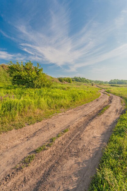 Paysage d'été avec de l'herbe verte