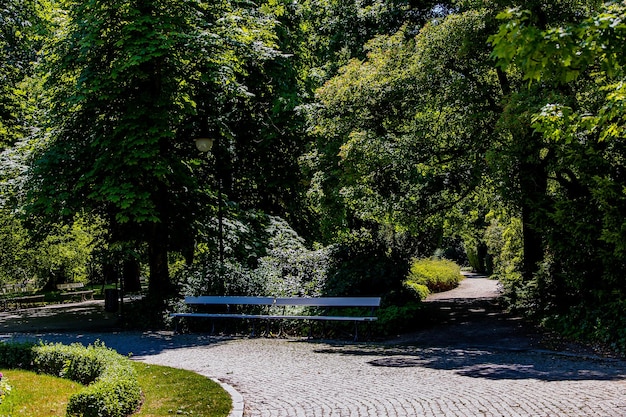 paysage d'été sur un jardin de parc de jour ensoleillé Varsovie Pologne chemin arbre