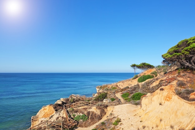 Paysage D'été Magnifique Sur La Mer. Le Portugal.