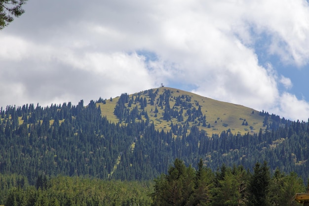 Paysage d'été de montagne Grands arbres montagnes enneigées et nuages blancs sur un ciel bleu Kirghizistan Beau paysage