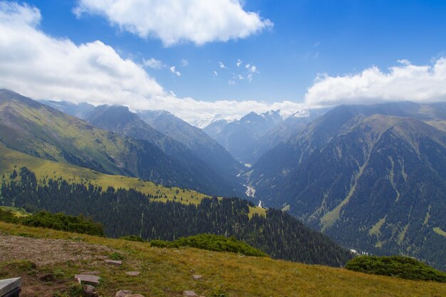 Paysage d'été de montagne Montagnes enneigées et herbe verte Peak Karakol Kirghizistan Belle vue depuis le sommet de la montagne