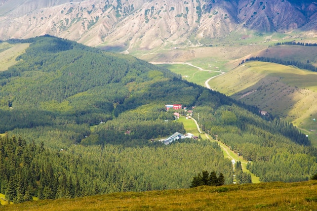 Paysage d'été de montagne Montagnes enneigées et herbe verte Peak Karakol Kirghizistan Belle vue depuis le sommet de la montagne