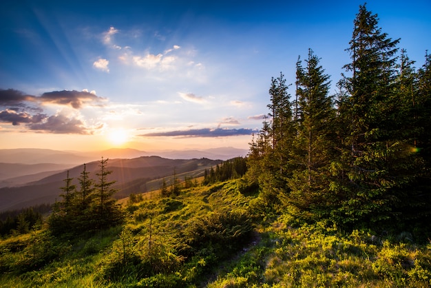 Paysage d'été en montagne