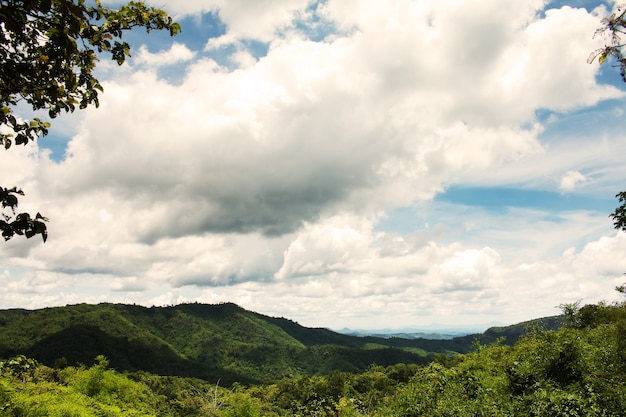 paysage d&#39;été de montagne