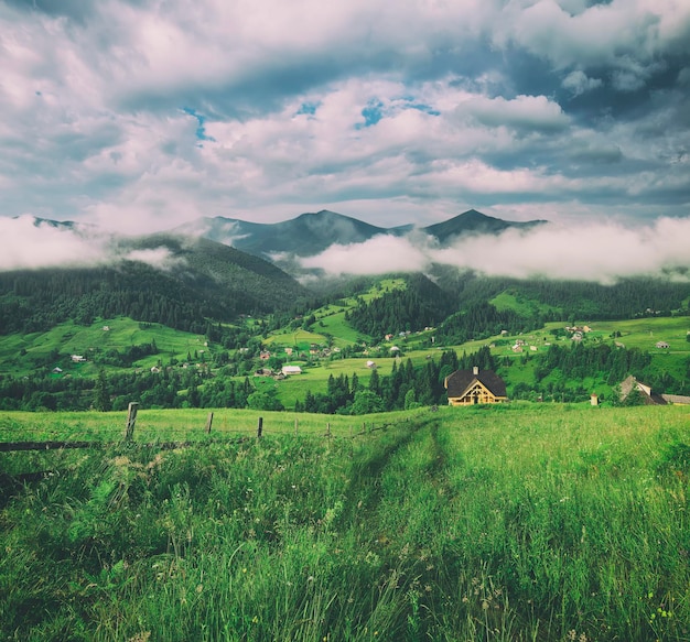 paysage d&#39;été de montagne