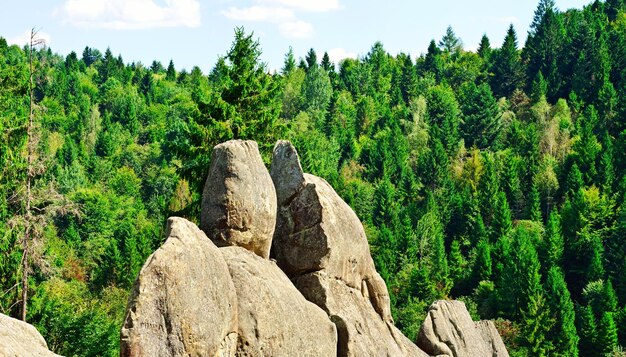 paysage d&#39;été de montagne