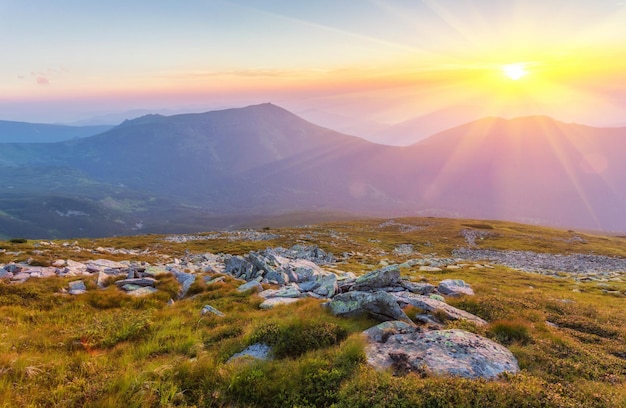 Paysage d'été en montagne