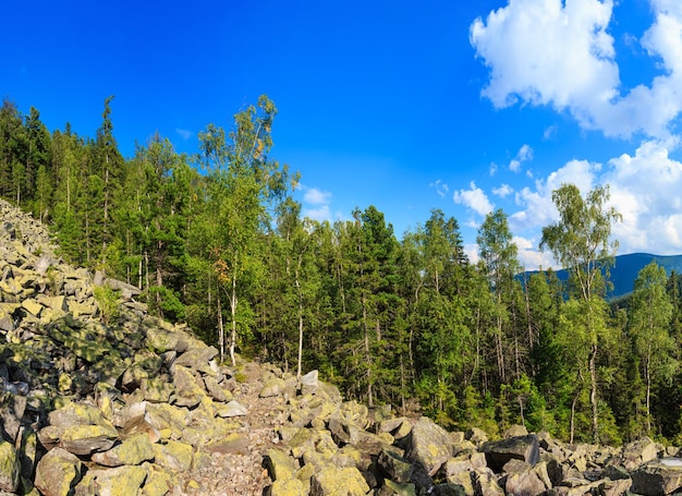 Paysage d'été des montagnes des Carpates avec ciel et cumulus, forêt de sapins et rochers glissants (Gorgany, Ukraine). Image de point de trois plans.