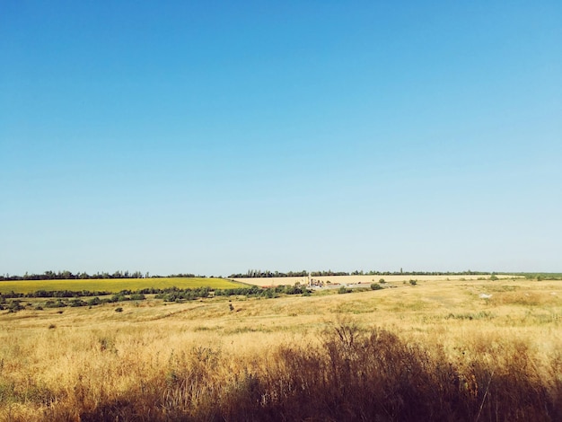 Paysage D'été Montagnes Vertes