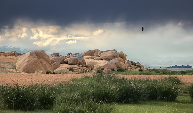 paysage d'été avec des nuages dramatiques et des dunes de sable avant la pluie en mongolie