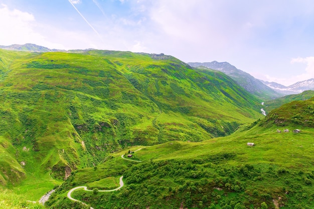 Paysage d'été pittoresque alpin