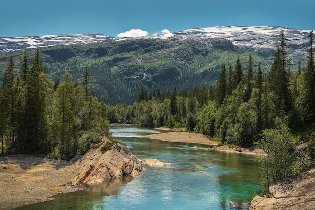 Paysage d'été pittoresque avec rivière et montagnes