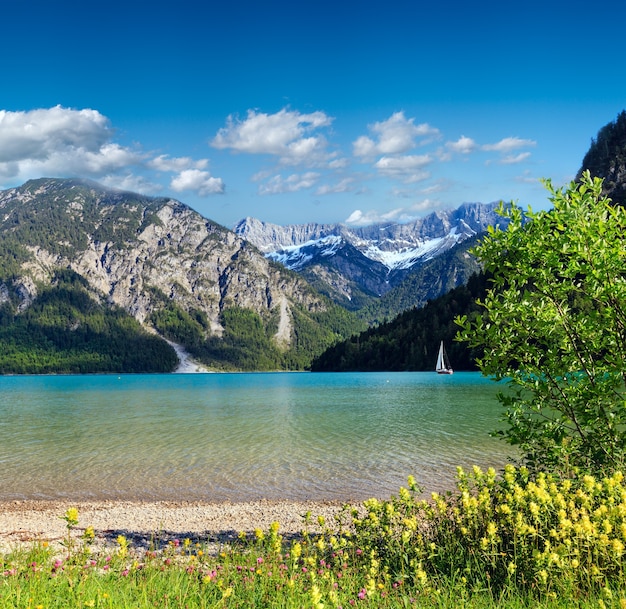 Photo paysage d'été plansee avec neige à flanc de montagne et fleur en face (autriche).