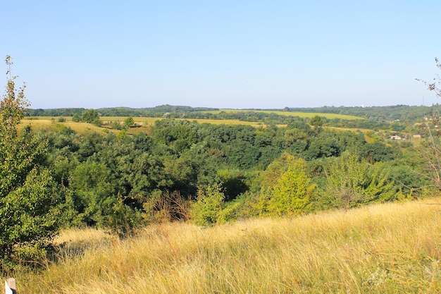 Paysage d'été avec prairie, arbres et collines