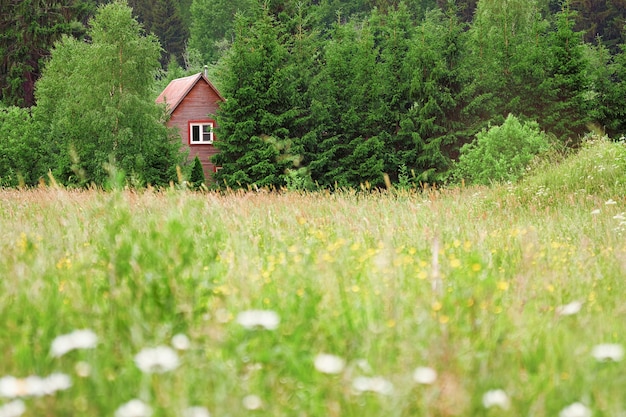 Paysage d'été avec pré vert et une maison en bois cachée dans la forêt de conifères