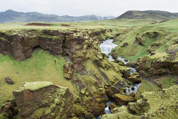 Paysage d'été avec la rivière Skoga Islande