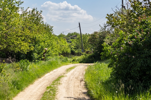 Paysage d'été avec route dans un village de Russie. Journée d'été ensoleillée à la campagne.