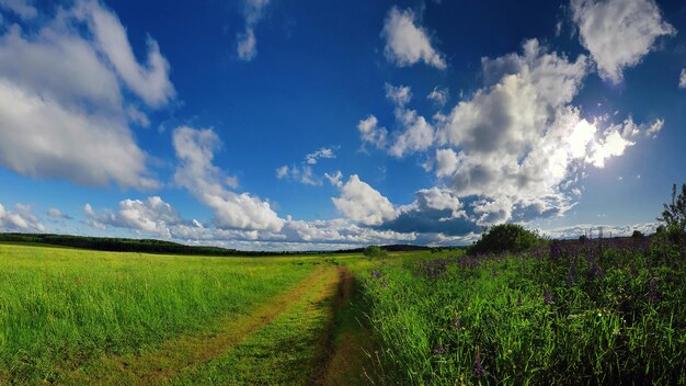 Photo paysage d'été avec route d'herbe verte et nuages