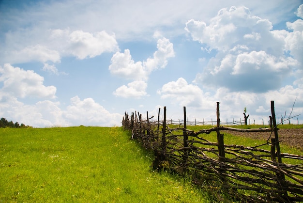 Paysage d'été rural avec clôture et ciel bleu