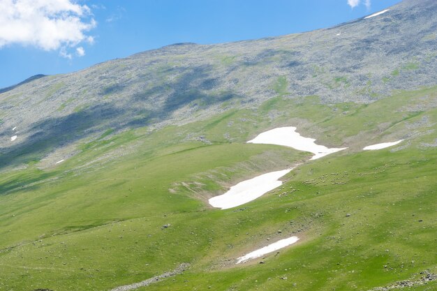 Paysage d'été rural avec des moutons à Girusun - Turquie Highlands