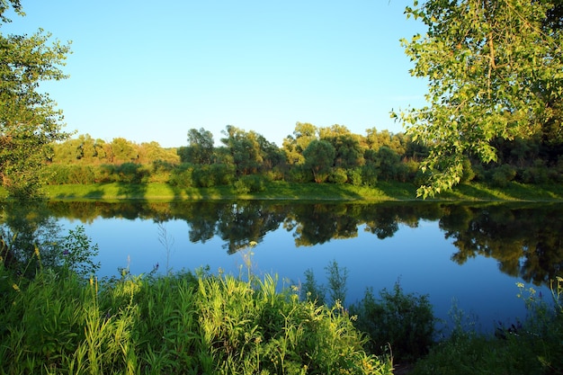 Paysage d'été en soirée avec petite rivière