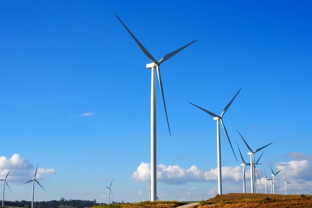 Paysage d'été de source d'énergie renouvelable d'éolienne avec un ciel bleu dans des paysages naturels