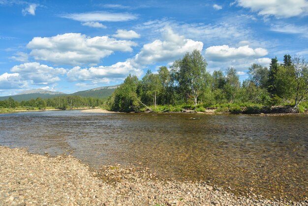 Paysage d'été de la taïga fluviale