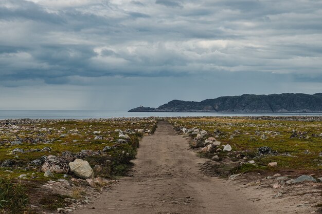 Paysage d'été de la toundra polaire verte dans les environs Teriberka