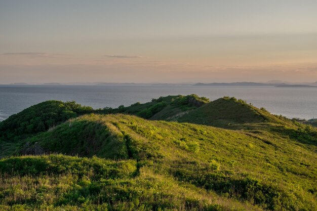 Paysage d'été avec de vertes prairies et des collines