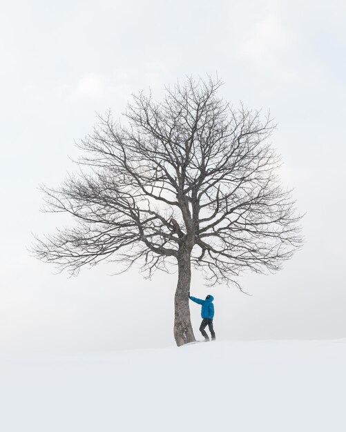 Paysage étonnant avec un homme près d'un arbre enneigé solitaire