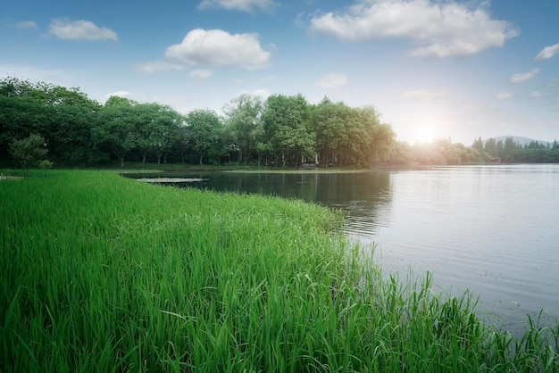 Paysage extérieur jardin paysage naturel du lac