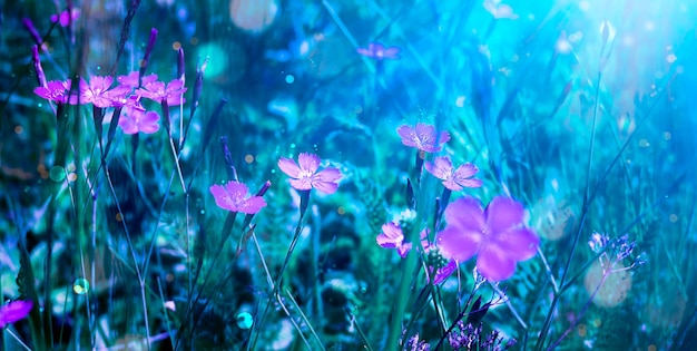 Paysage fantastique magique avec une fleur rose épanouie de conte de fées.